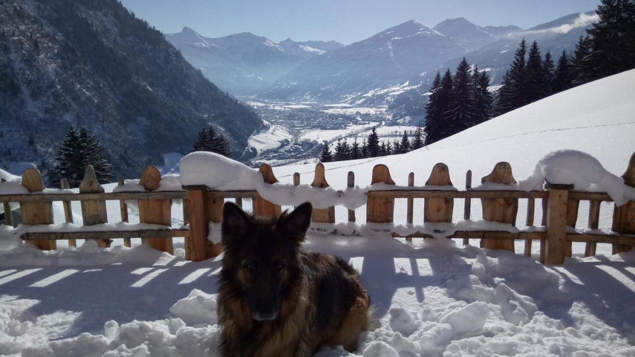 Chalet Schroeckgut Бад Хофгаштайн Экстерьер фото